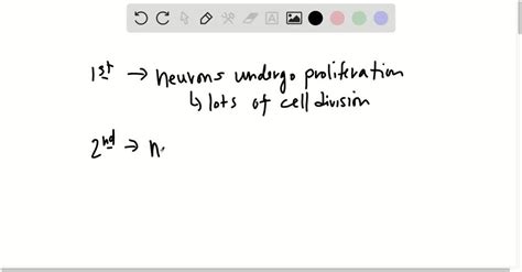 SOLVED:Briefly describe the three stages of neuron development.