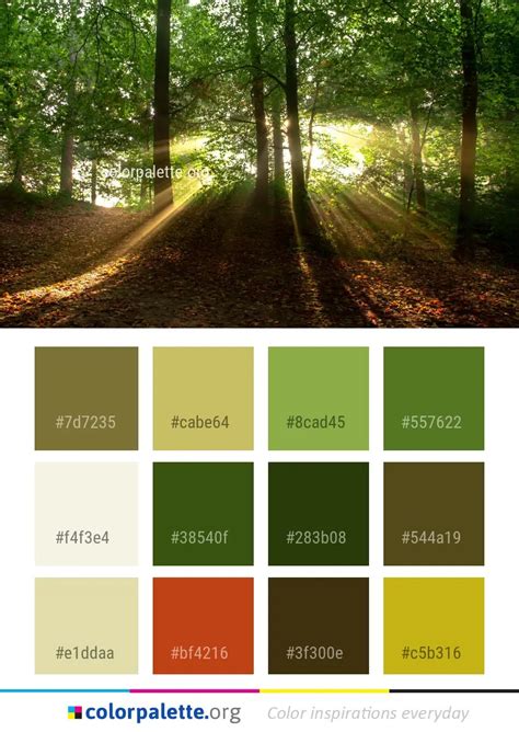 Forest Color Palette ideas | colorpalette.org - Part 23