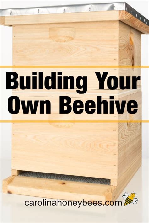 How to Build a Beehive of Your Own | Bee hive, Bee hives diy, Bee hive ...