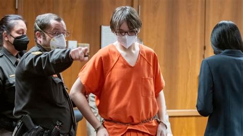 Michigan teen pleads guilty to terrorism, other charges in deadly ...