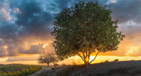 Valley of Elah – Israel My Glory