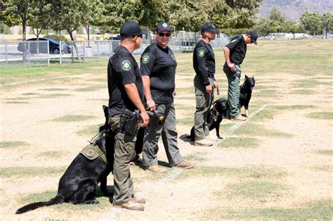 Sheriff K9 Unit Training at Two Rivers Park | The Fillmore Gazette