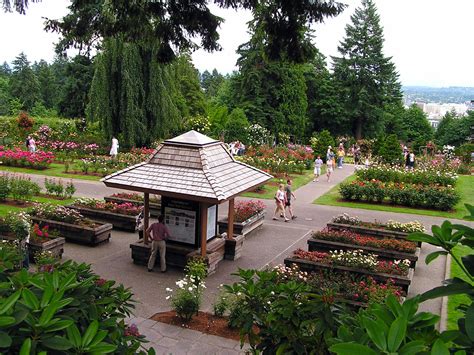 Rose Garden Events Portland Oregon | Fasci Garden