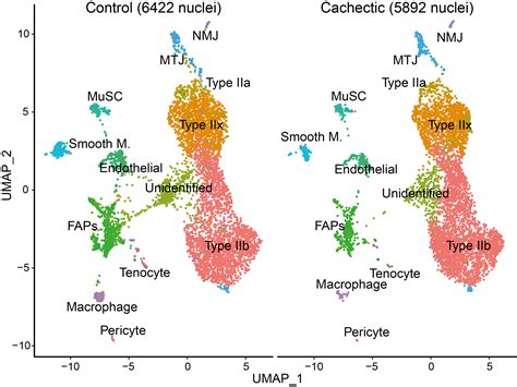 New Research Publication: Tumour-induced Alterations in Single-nucleus ...