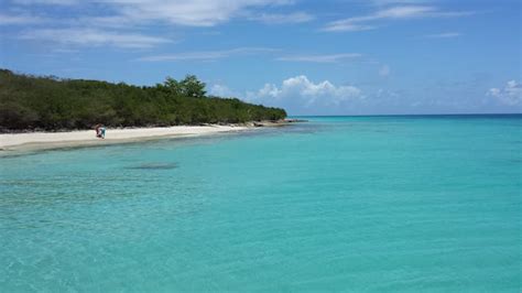 Culebra Island Snorkeling & Scuba Diving | Aqua Adventure