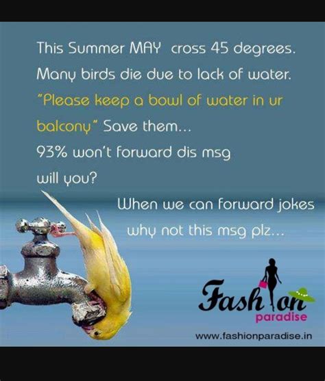 Give water to birds this summer | Funny animal quotes, Birthday quotes funny, Quotes for kids