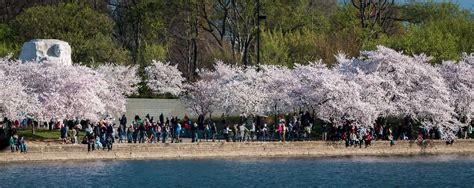 Martin Luther King, Jr. Memorial — Todd Henson Photography