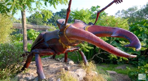 Huge Bugs Take Center Stage at Virginia Living Museum | Pest Management ...