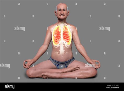 Respiratory regulation and breathing in yoga, computer illustration ...