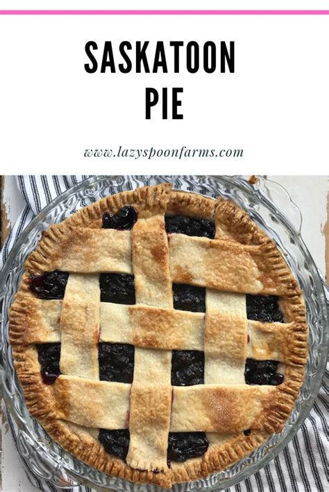 Saskatoon Pie Recipe | Berry pie recipe, Easy pie recipes, Saskatoon berry recipe