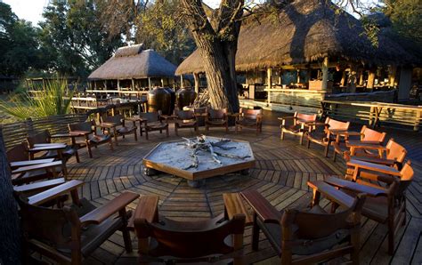 Mombo Camp - Camps & Lodges - Micato Luxury Africa Safaris