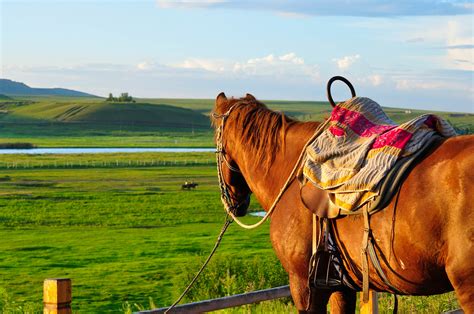 Inner Mongolia travel | China - Lonely Planet