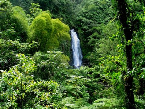 Top 10 Tourist Attractions in Nature Island Dominica | Caribbean & Co.