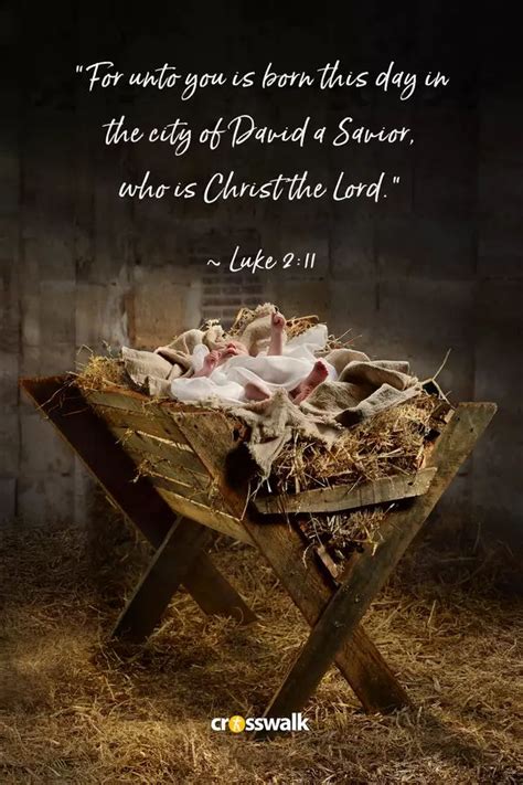 Top 15 Christmas Bible Verses to Share in 2021 - Christmas and Advent | Christmas bible verses ...