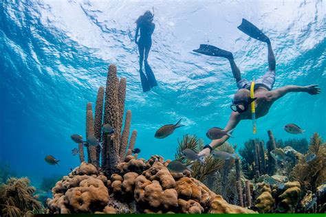 Coco Playa: The Perfect Spot For Snorkeling In Bonaire – DesertDivers