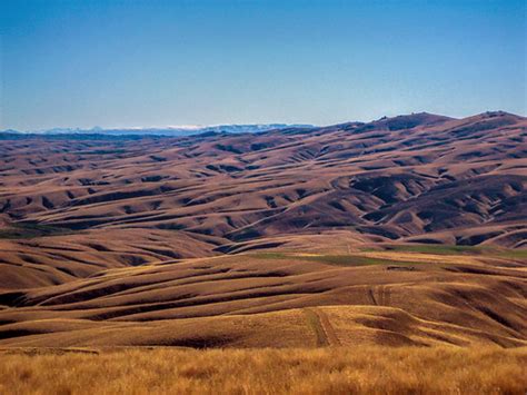 Central Otago Landscape | Found some old pictures from Centr… | Flickr