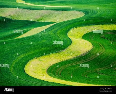 Aerial view of Palouse Region Stock Photo - Alamy