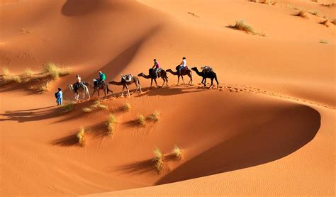 Tunisia Desert Break 02 nights / 03 days - D Travel Plus