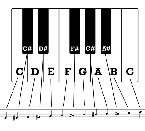 Music Theory Fundamentals: Chromatic Scale - Notes on a Guitar