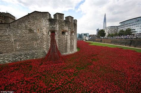 Analyse de The Tower Poppies de Paul Cummins et Tom Piper