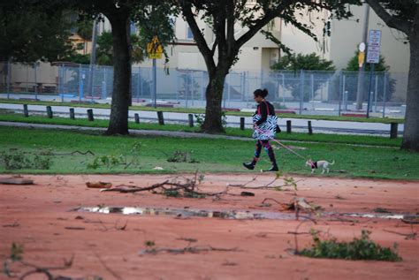 Miami Tornado Stirs Mixed Emotions at Damaged Park | Miami, FL Patch