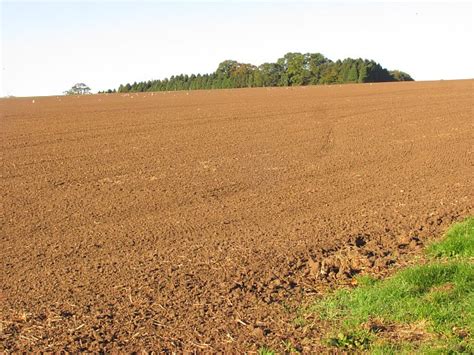 Cultivated land, Brockton © Richard Webb :: Geograph Britain and Ireland