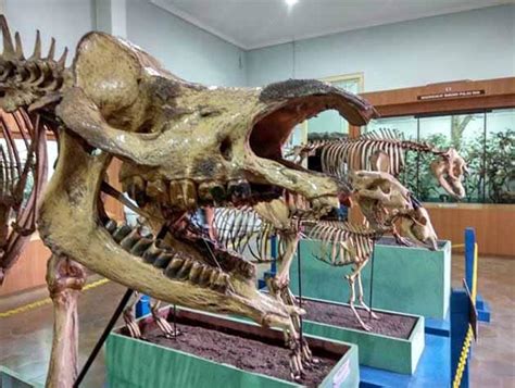 Museum Satwa Lengkap Zoologi Bogor, Harga Tiket Masuk dan Alamat – Dolan Yok