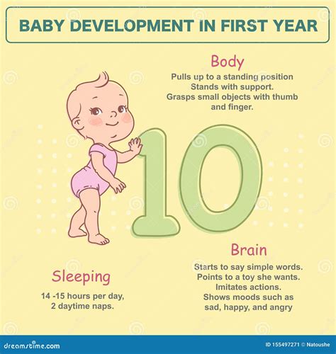 Little Newborn Baby of 10 Month. Development Infographics Stock Vector ...