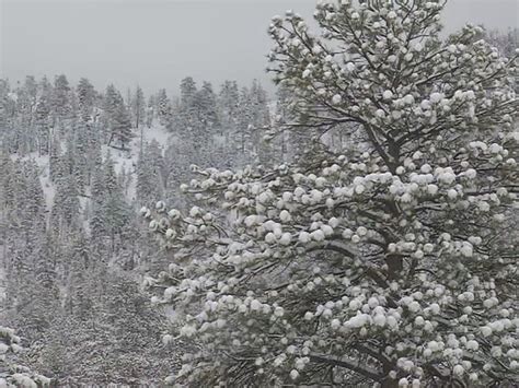 Storm drops snow on Mount Charleston