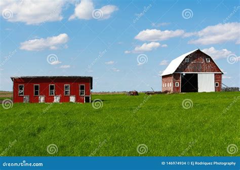 Farm in open grass field stock photo. Image of meadow - 146974934