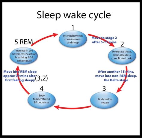 Sleep-wake Cycle Manipulation for Depression and Anxiety Removal - Good and Great