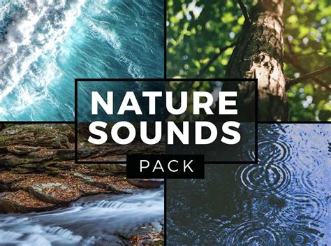 Nature Sounds Pack - Indie Music Box