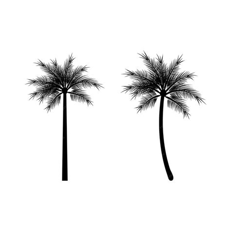 Premium Vector | Palm Tree Logo. Vector palm tree icon black color.