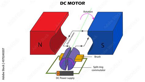 DC Electric motor diagram with labeled parts Stock Vector | Adobe Stock