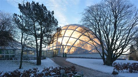 Tropical Houses at the Botanical Garden | VisitAarhus