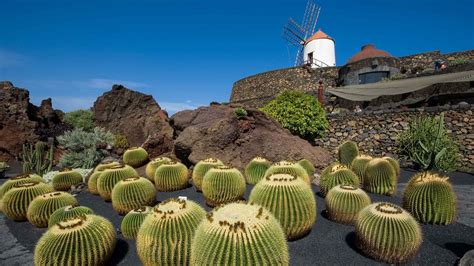 Jardín de Cactus, Lanzarote Garden & Park Tours | GetYourGuide