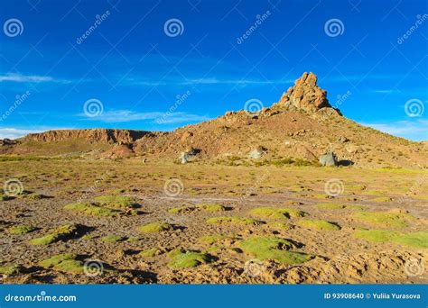 Altiplano Landscape Arid Mountain Stock Photo - Image of bolivia, lake: 93908640