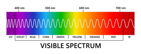 Visible light spectrum, infared and ultraviolet. Light wavelength. Electromagnetic visible color ...