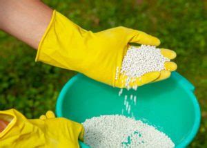 Best Lawn Fertilizer For Sandy Soil - A Beneficial Guide To Lawn Care And Maintenance - Days in ...