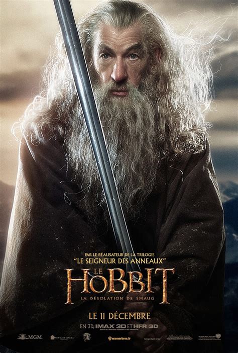 The Hobbit: The Desolation of Smaug (2013) Poster #25 - Trailer Addict