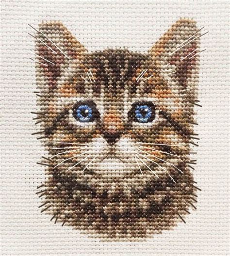 TABBY CAT, KITTEN, Detailed Face ~ Full counted cross stitch kit *FIDO ...