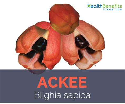 Ackee facts and health benefits