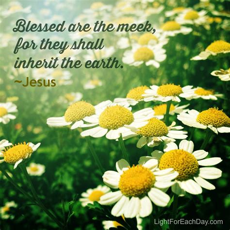 Light for Each Day: JUN 12: Blessed Are the Meek