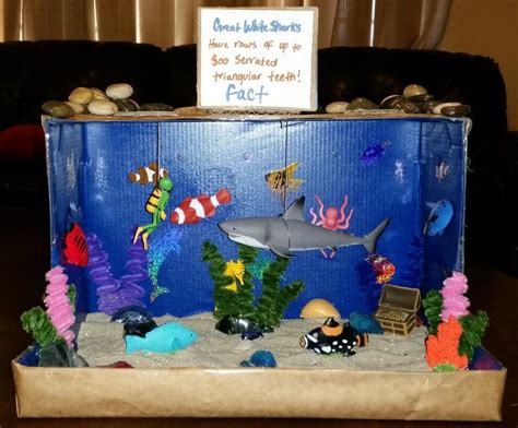 Pin by Kristin Benichou on shark habitat project | Diorama kids ...