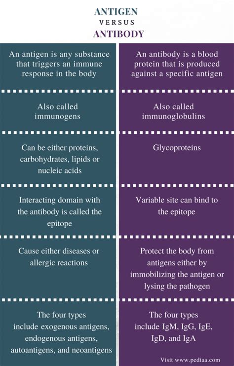 Difference Between Antigen and Antibody | Definition, Characteristics ...