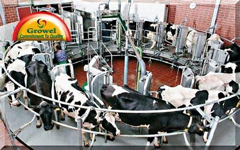 Dairy Farming Business Guide – Growel Agrovet