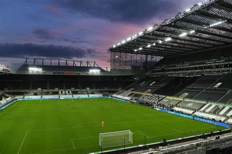 Newcastle United begin plans to expand St James' Park capacity - Chronicle Live