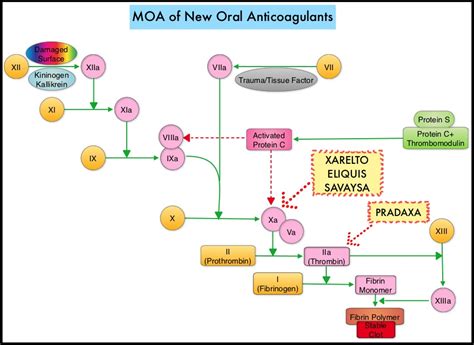 Concomitant Use of Direct Oral Anticoagulants with Antiplatelet Agents ...