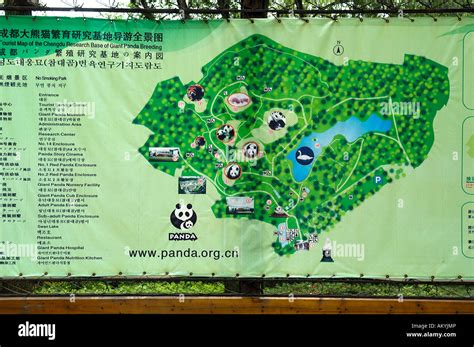 Map, panda breeding station near Chengdu, China, Asia Stock Photo - Alamy