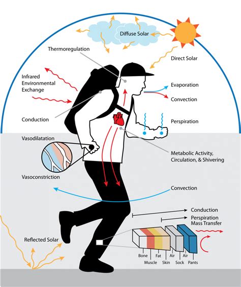 TAITherm | ThermoAnalytics